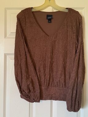 Buckle Daytrip long sleeve mesh metallic tinsel blouse vneck size medium ladies